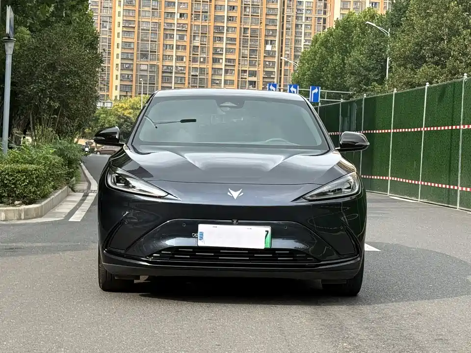 ARCFOX Polar Fox Alpha S