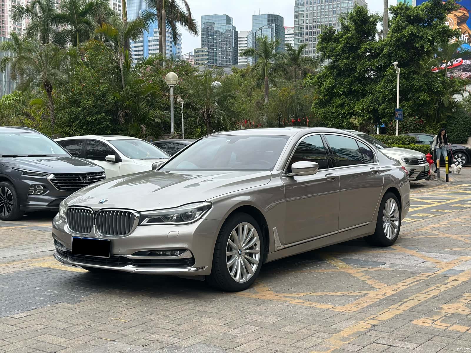 BMW 7 Series, 2017 3