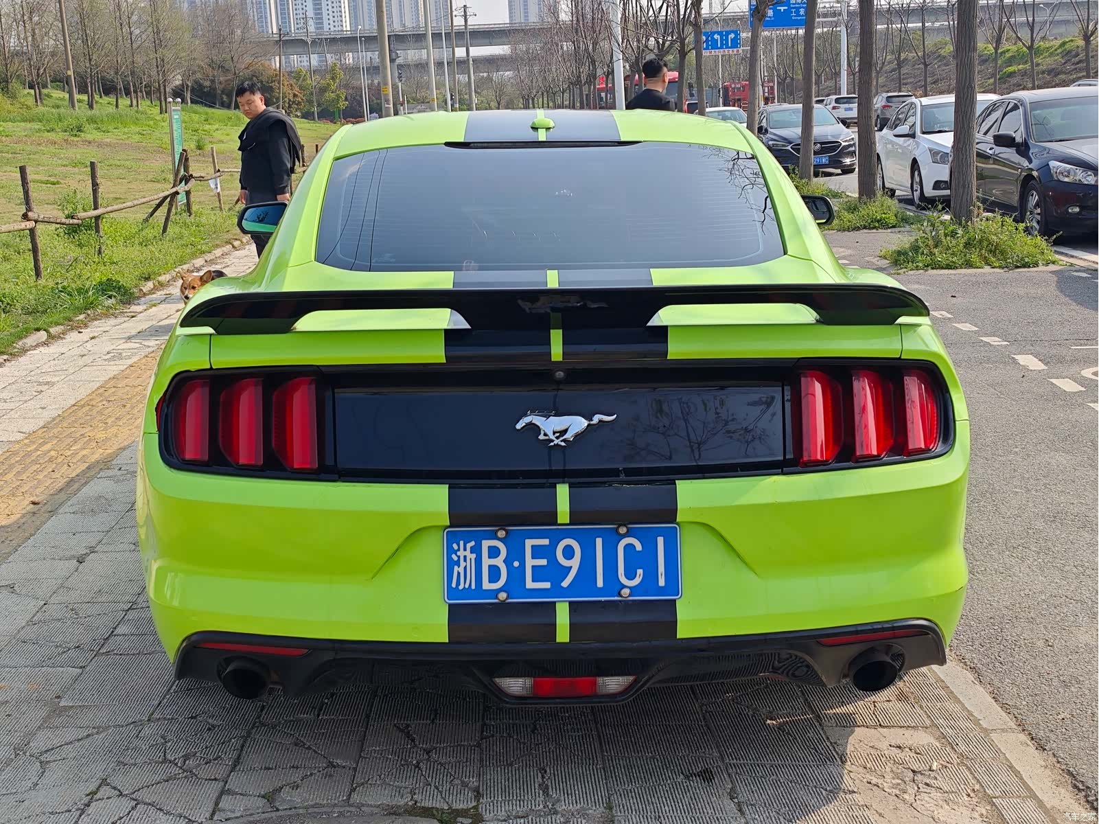 Ford Mustang, 2017 8