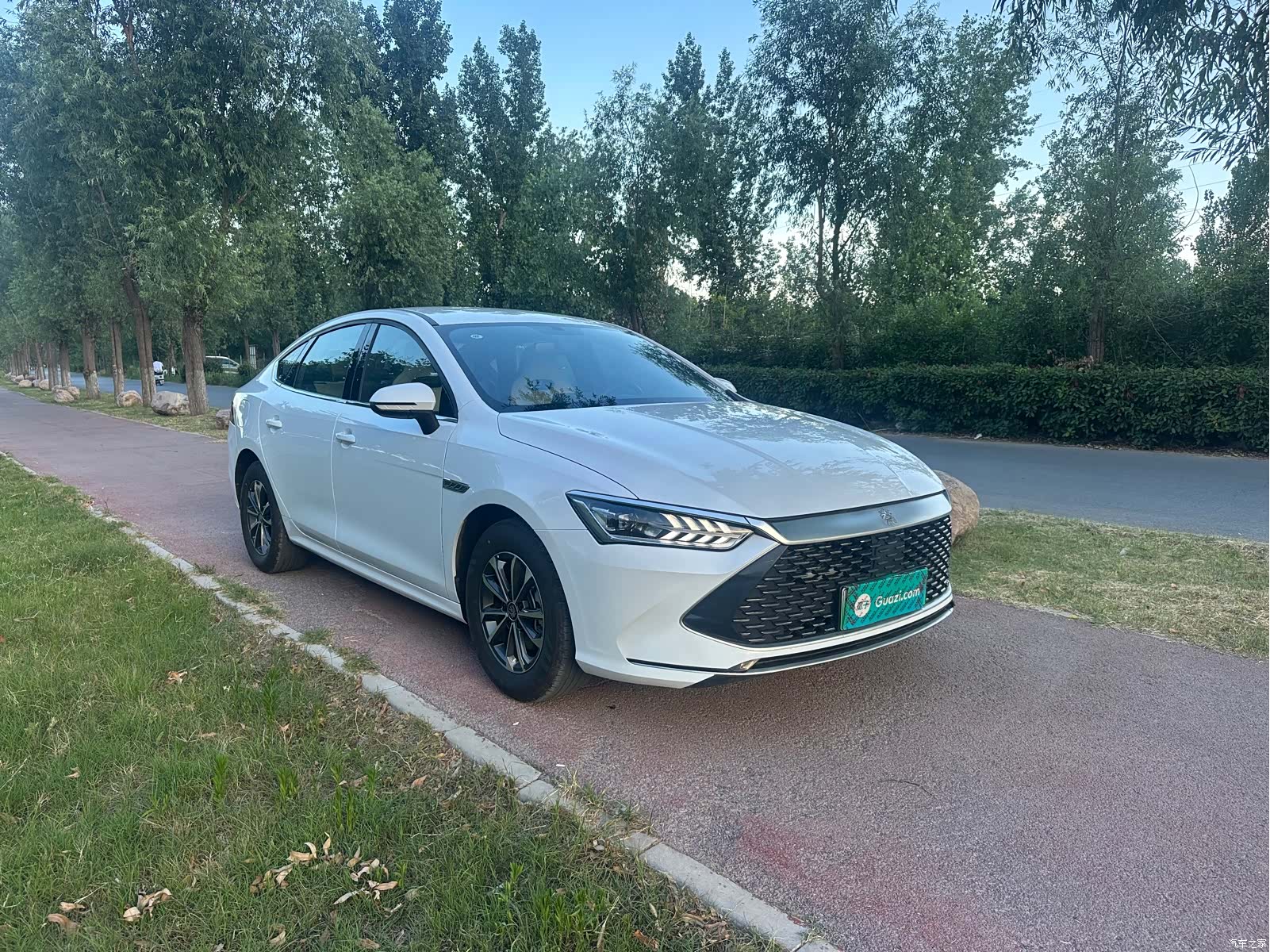 BYD Qin, 2024 3