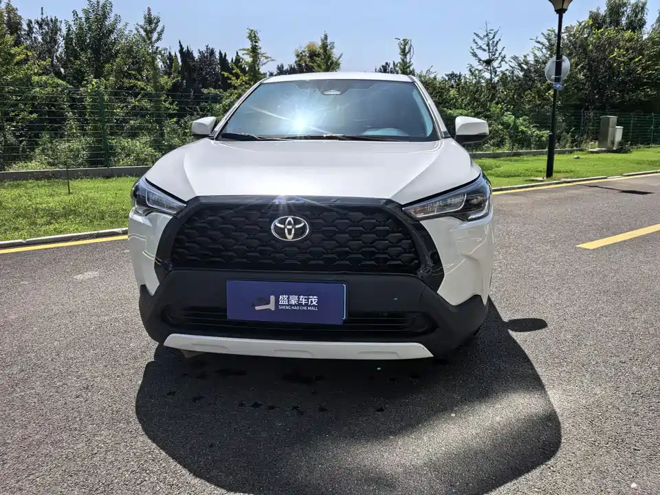 Toyota Corolla Sharp amplifier