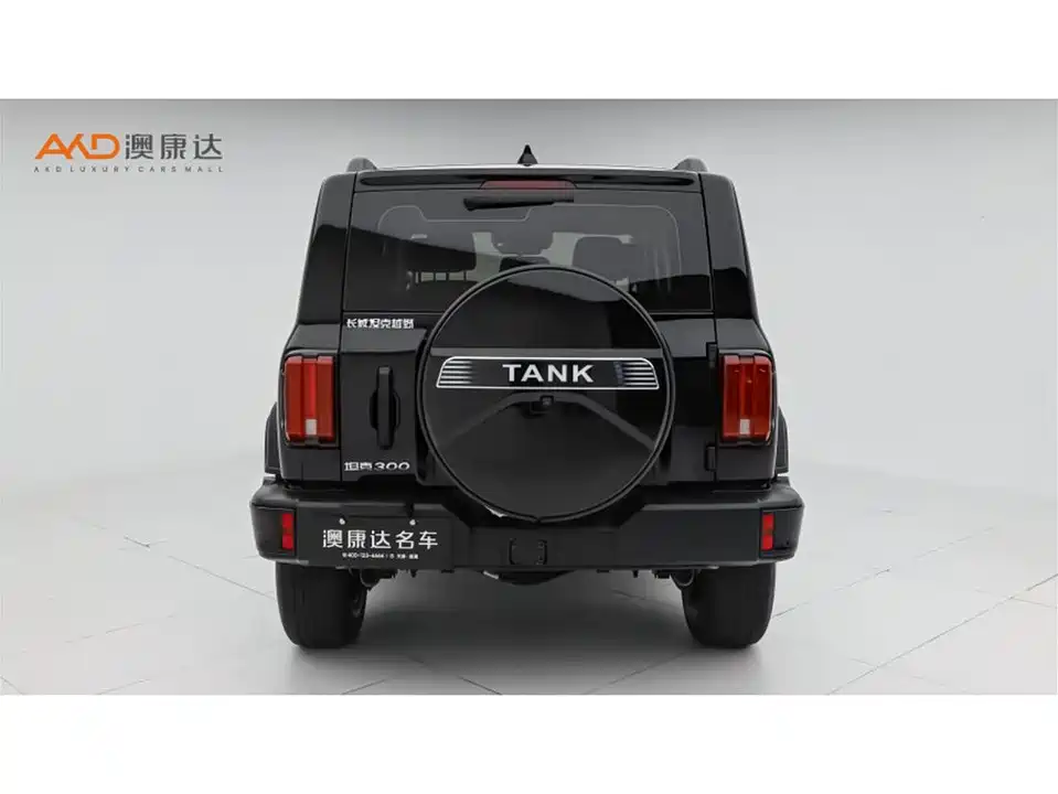 Tank 300