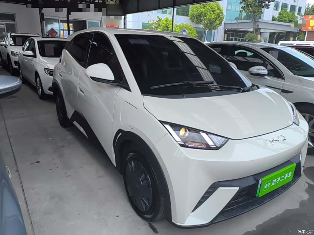 BYD Seagull, 2024 4