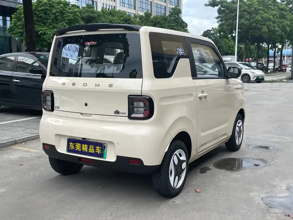 Geely Galaxy panda