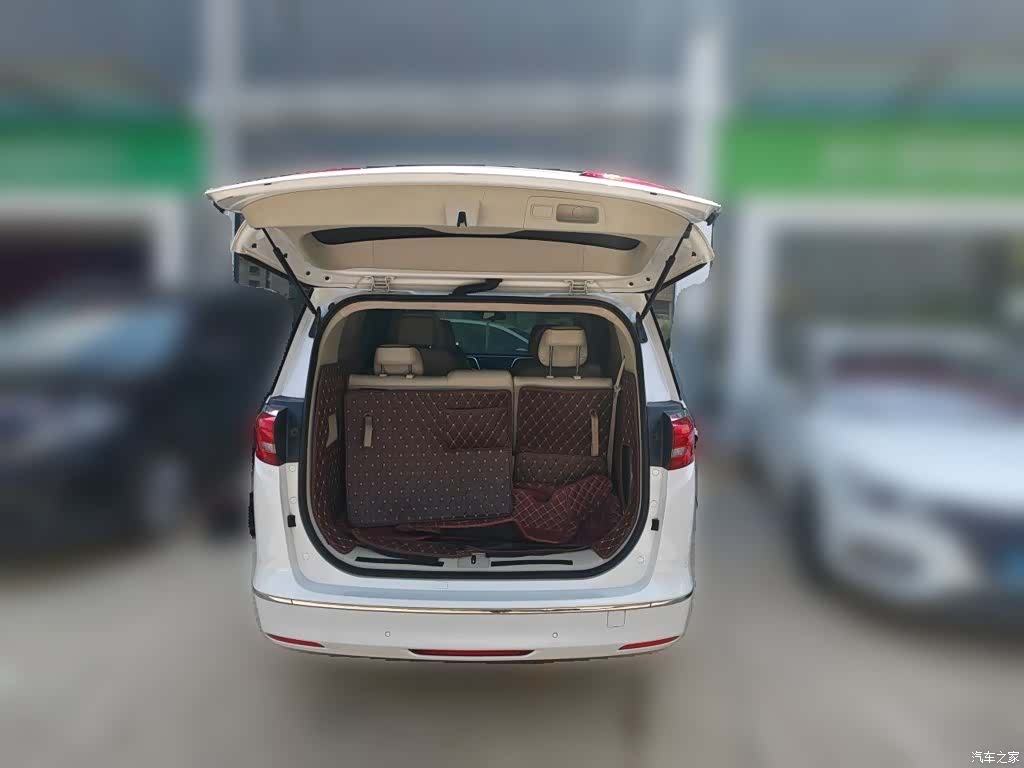 Buick GL8, 2019 10