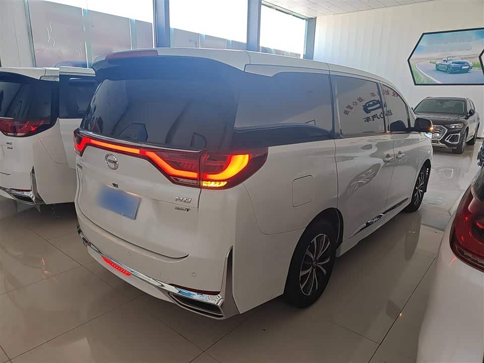 Trumpchi Trumpchi M8