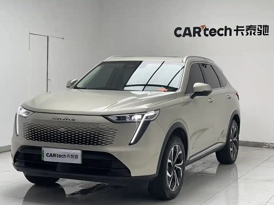 Haval Xiaolong MAX Haval Xiaolong MAX
