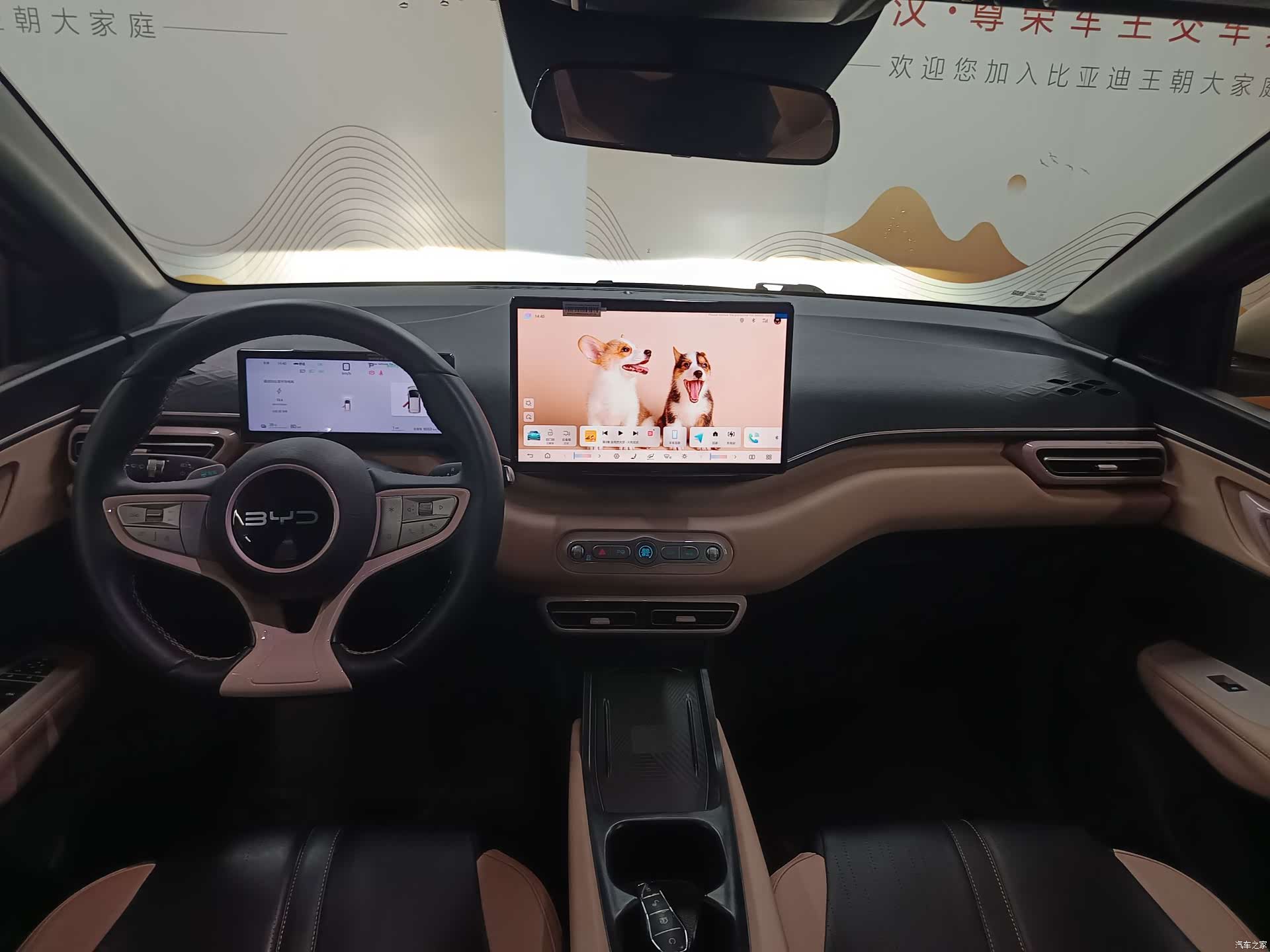 BYD Seagull, 2025 10