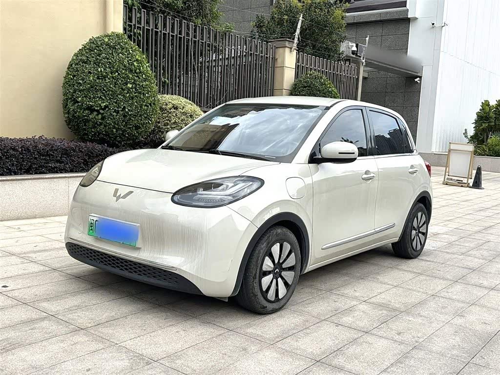 Wuling Binguo