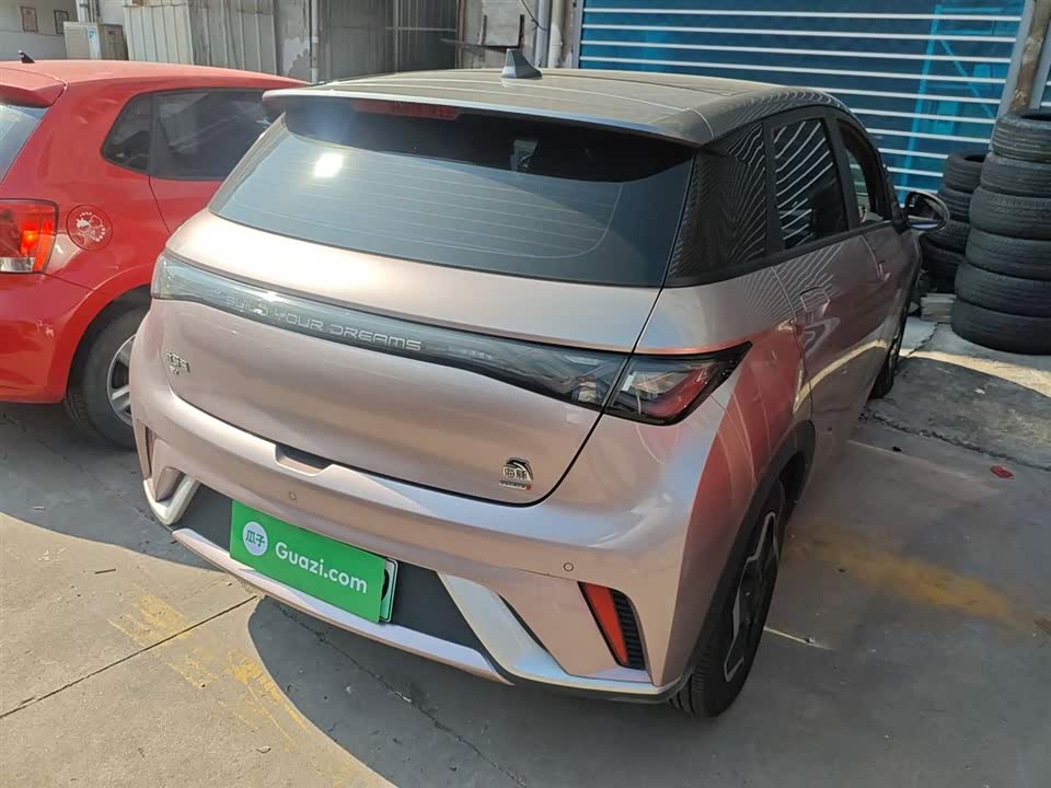 BYD dolphin