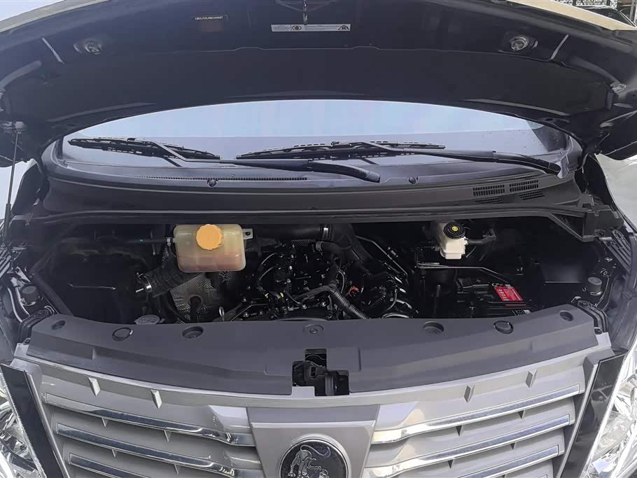 Forthing Lingzhi PLUS