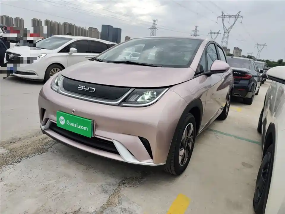 BYD dolphin
