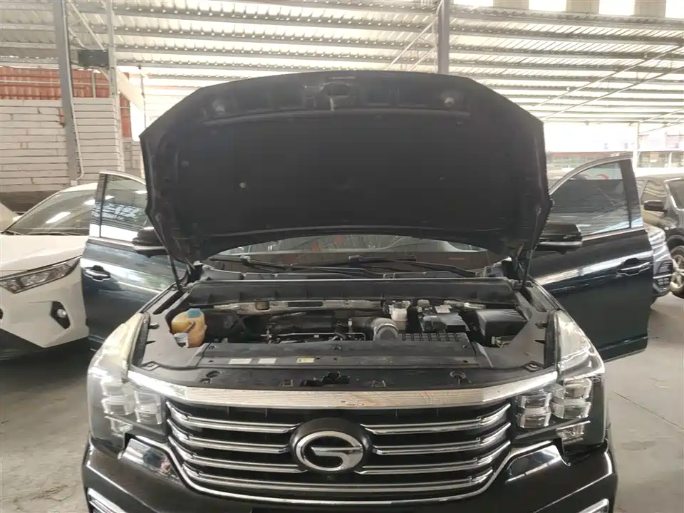 Trumpchi Trumpchi GS8