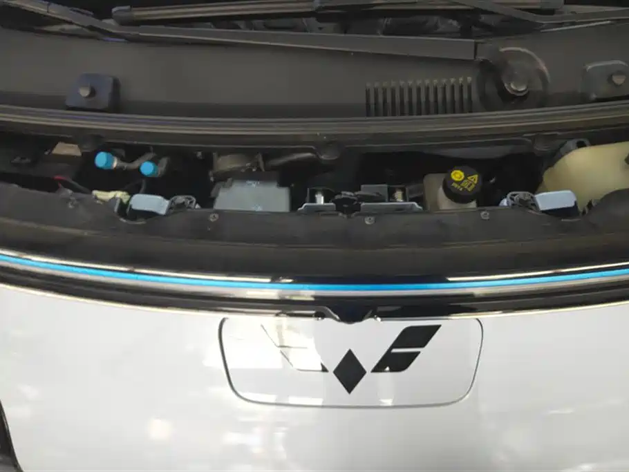 Wuling Wuling Air ev Clear Sky