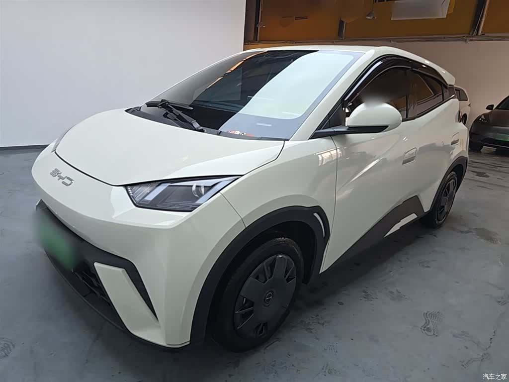 BYD Seagull, 2024 2
