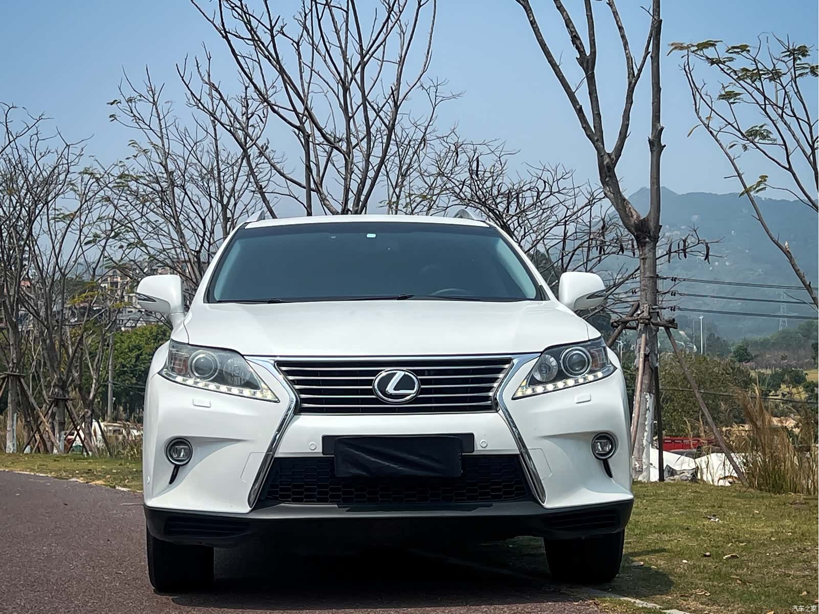 Lexus RX, 2014 2