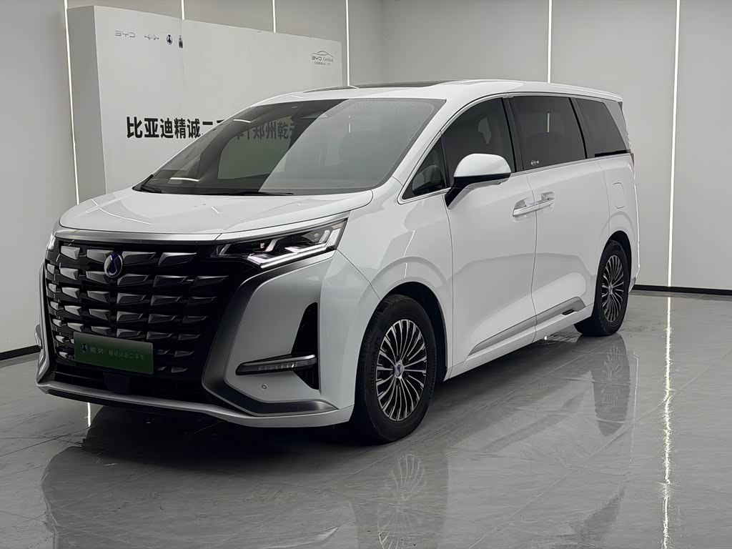 Denza D9