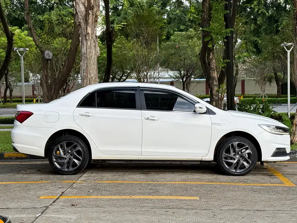 BYD Qinxin Energy BYD Qinxin Energy