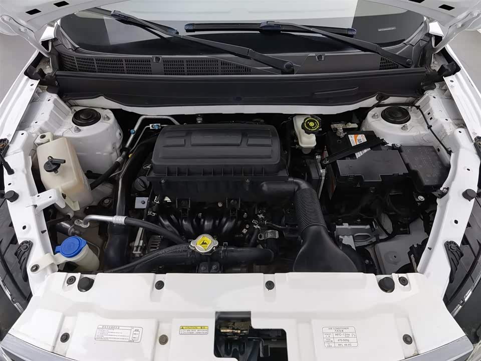 Leopaard Cheetah CS9