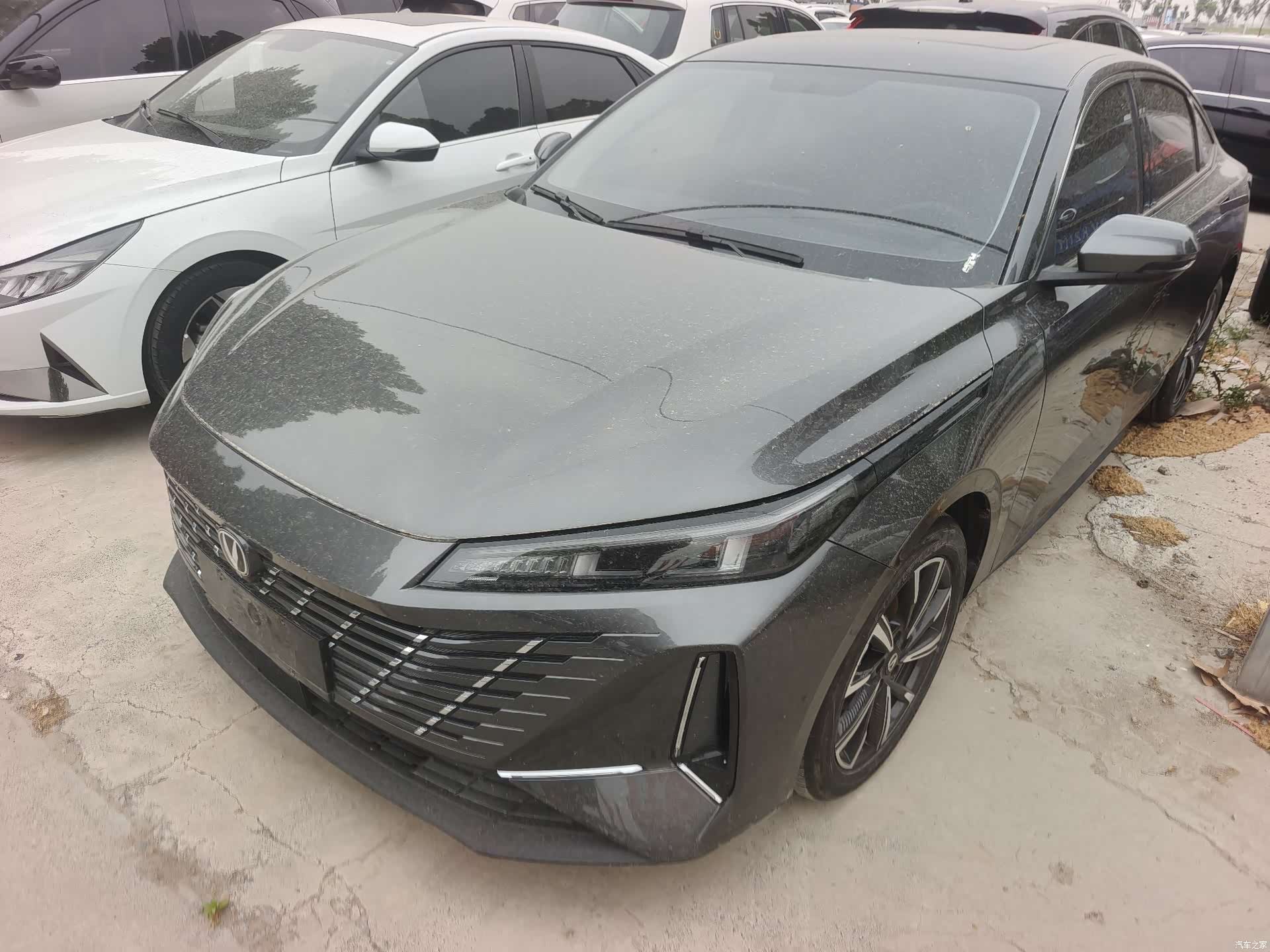Changan Eado, 2025 1