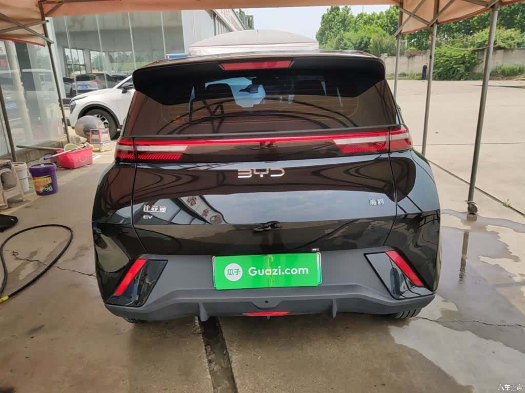 BYD Seagull, 2024 4
