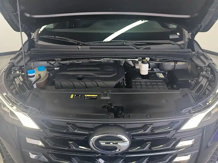 Trumpchi Trumpchi M6