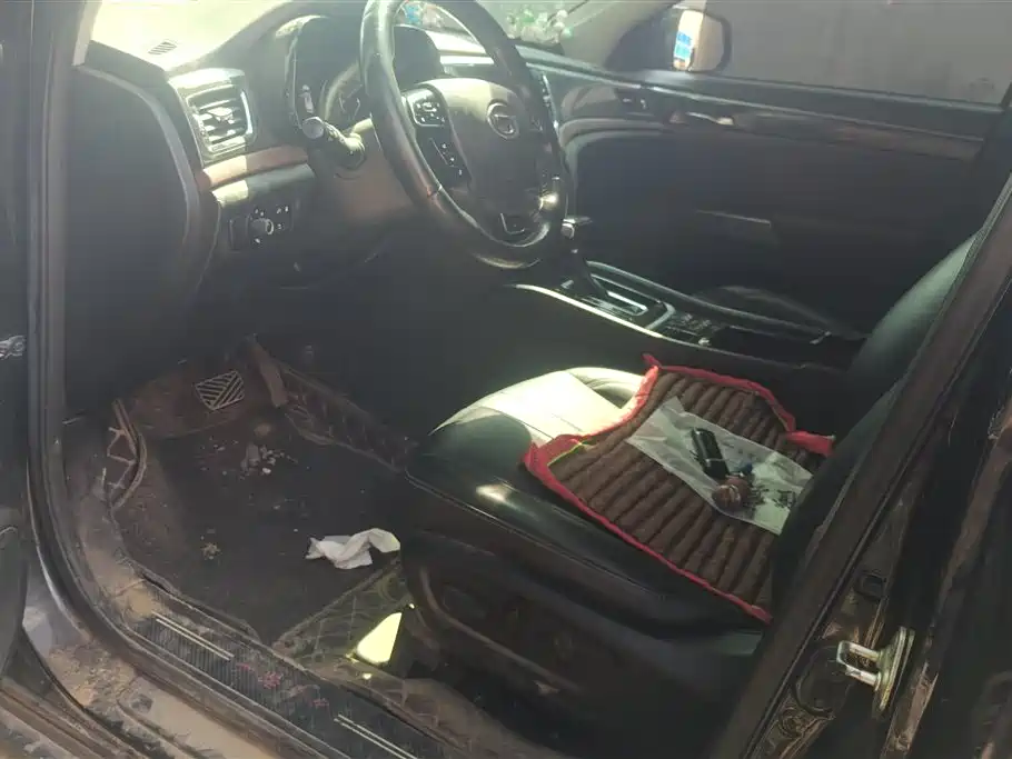 Trumpchi Trumpchi GS8