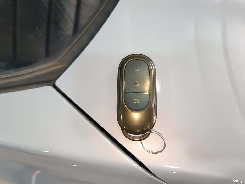 Leapmotor C11, 2023 9