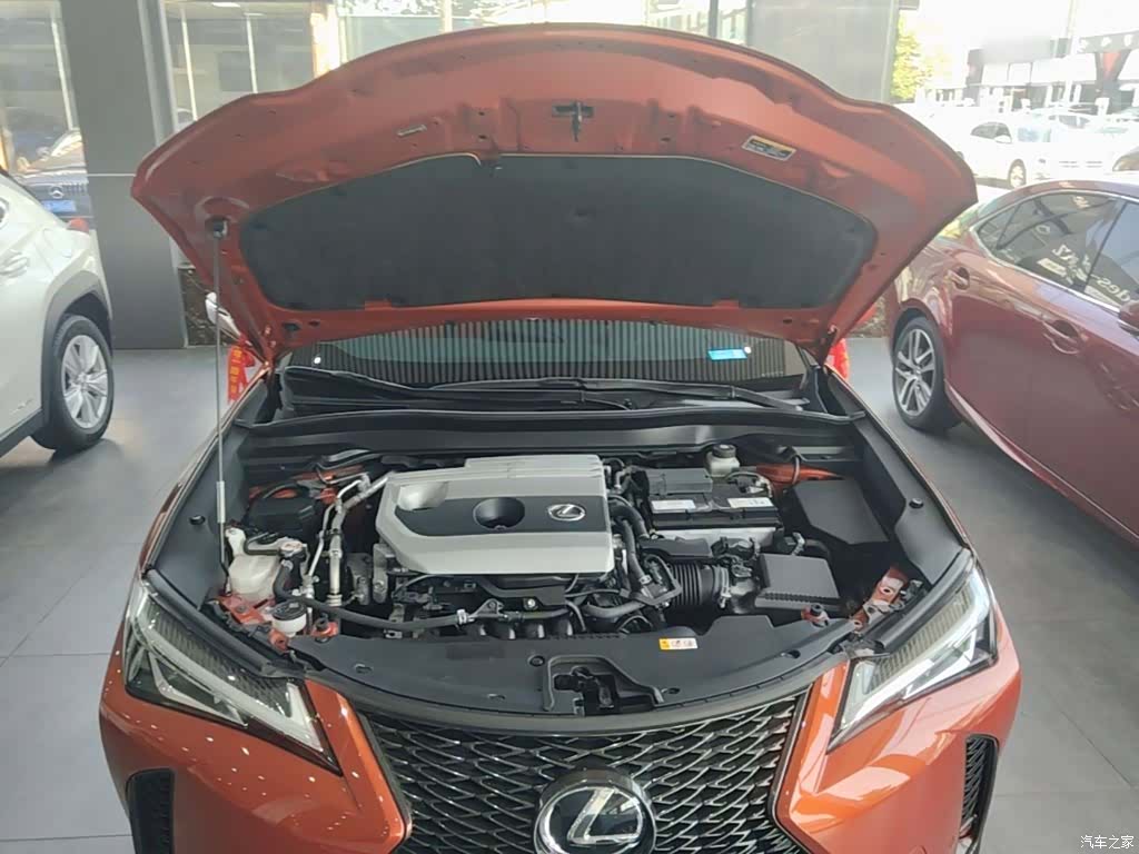 Lexus UX, 2020 20