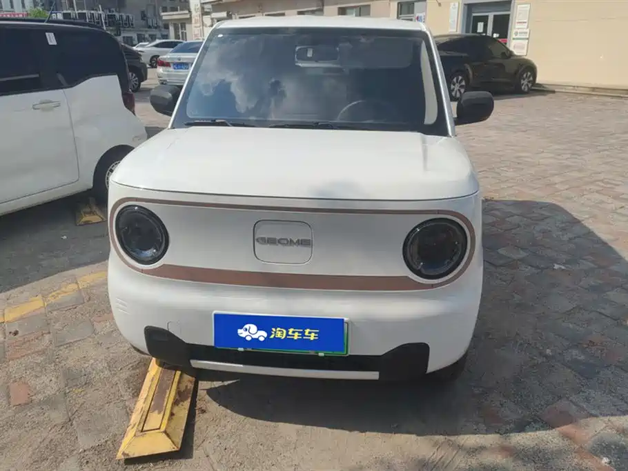 Geely Galaxy panda