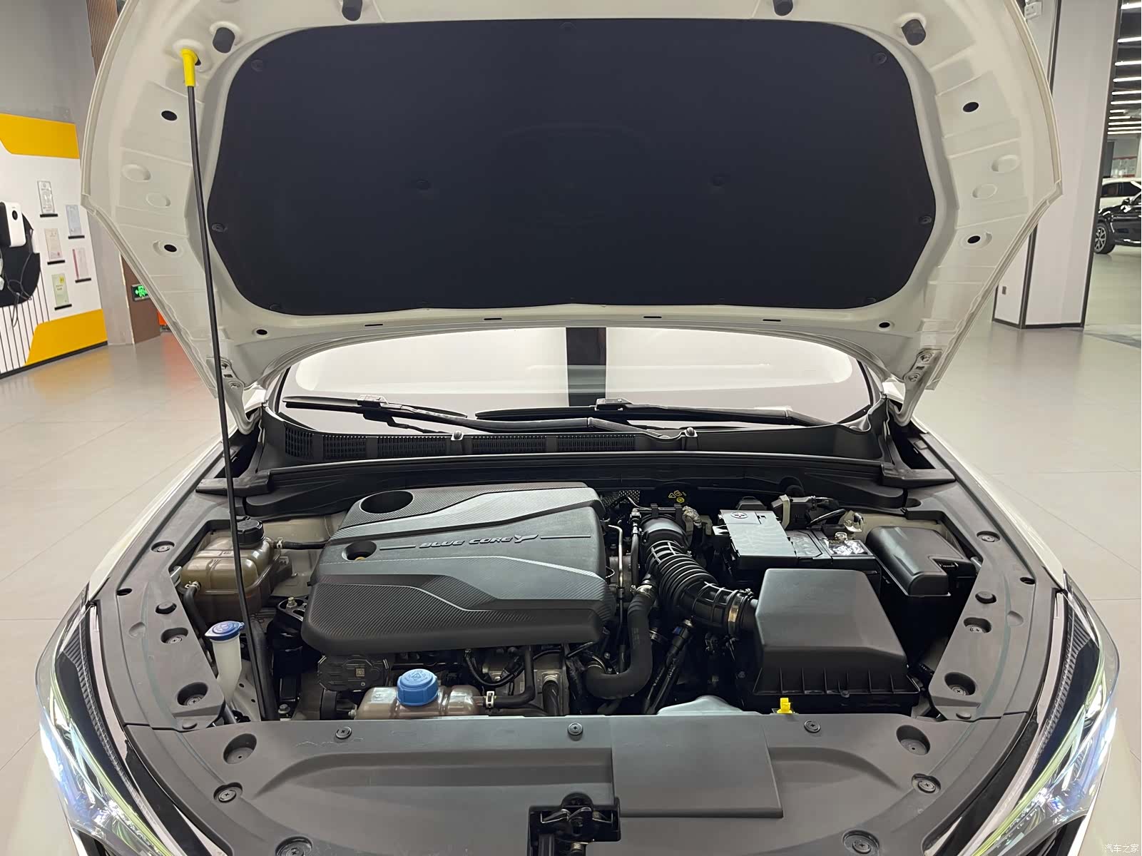 Changan Eado, 2022 28