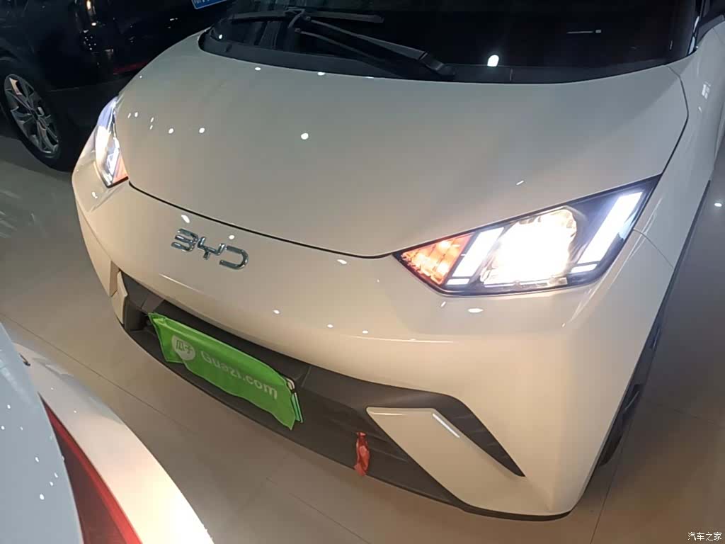 BYD Seagull, 2024 3