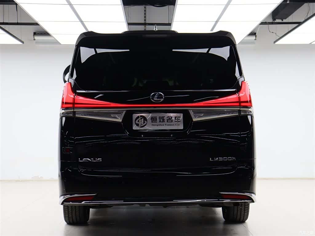 Lexus LM, 2022 29