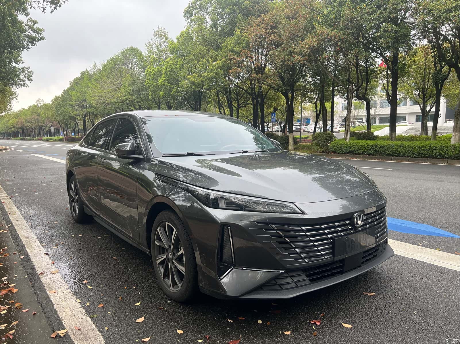 Changan Eado, 2024 3