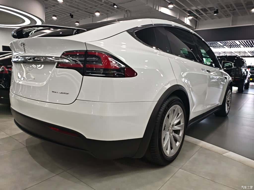 Tesla Model X, 2020 7