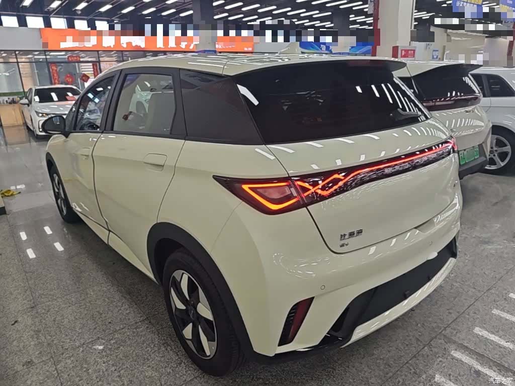 BYD Dolphin, 2024 все фото