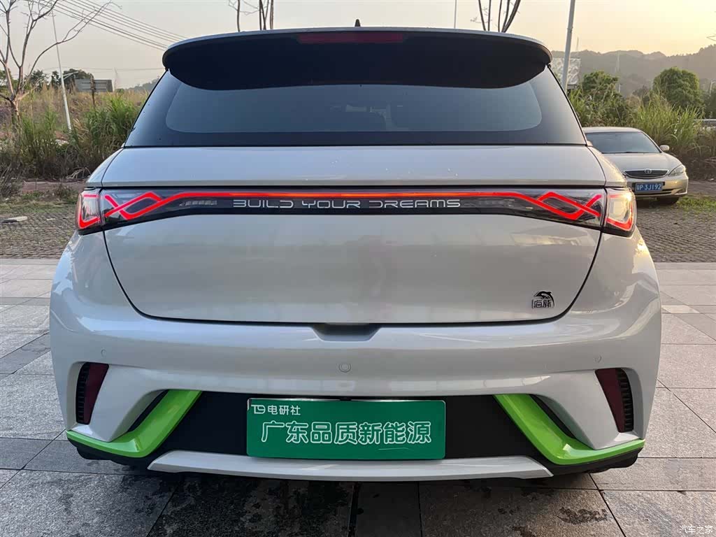 BYD Dolphin, 2021 4
