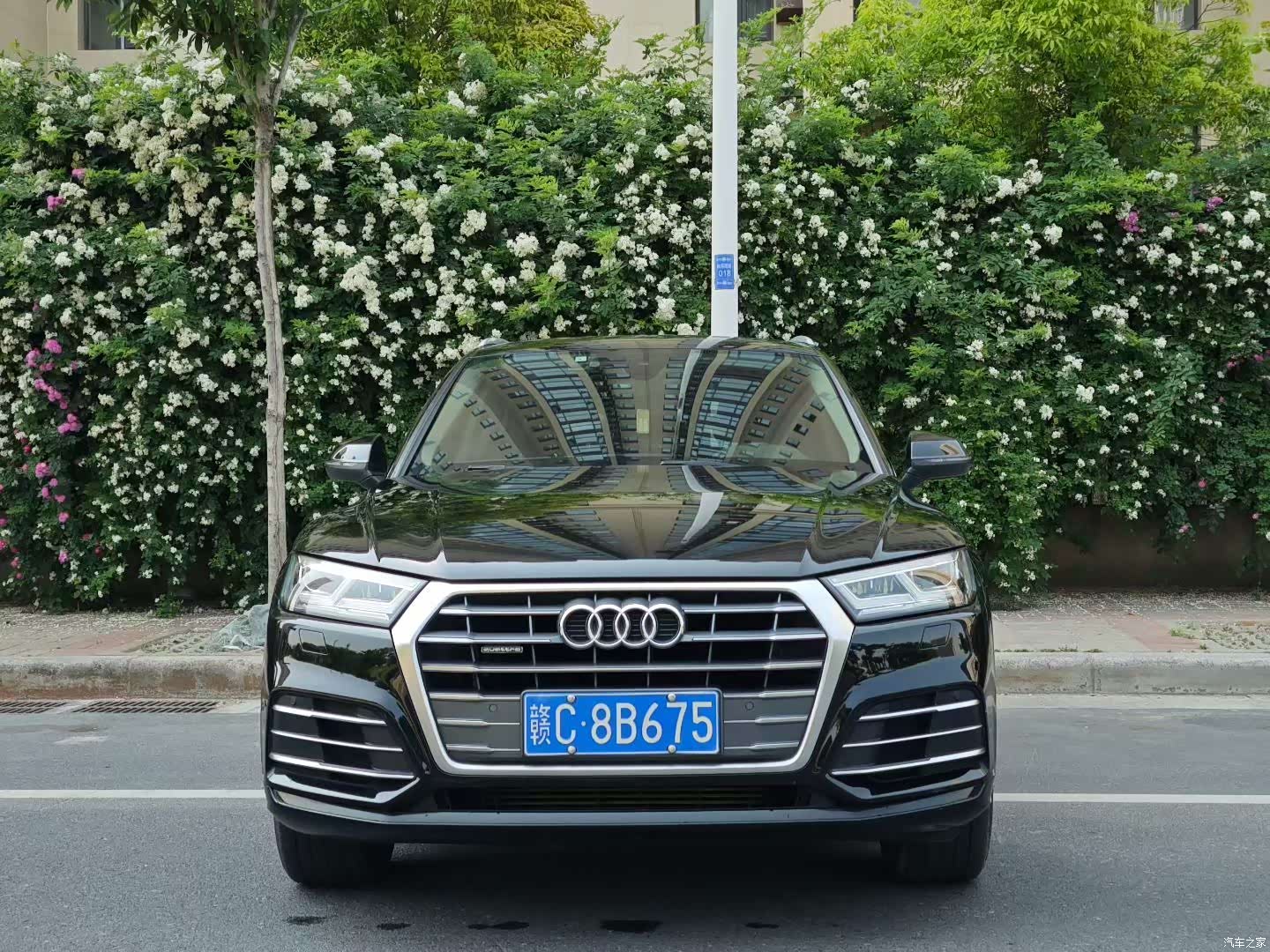 Audi Q5L, 2019 2