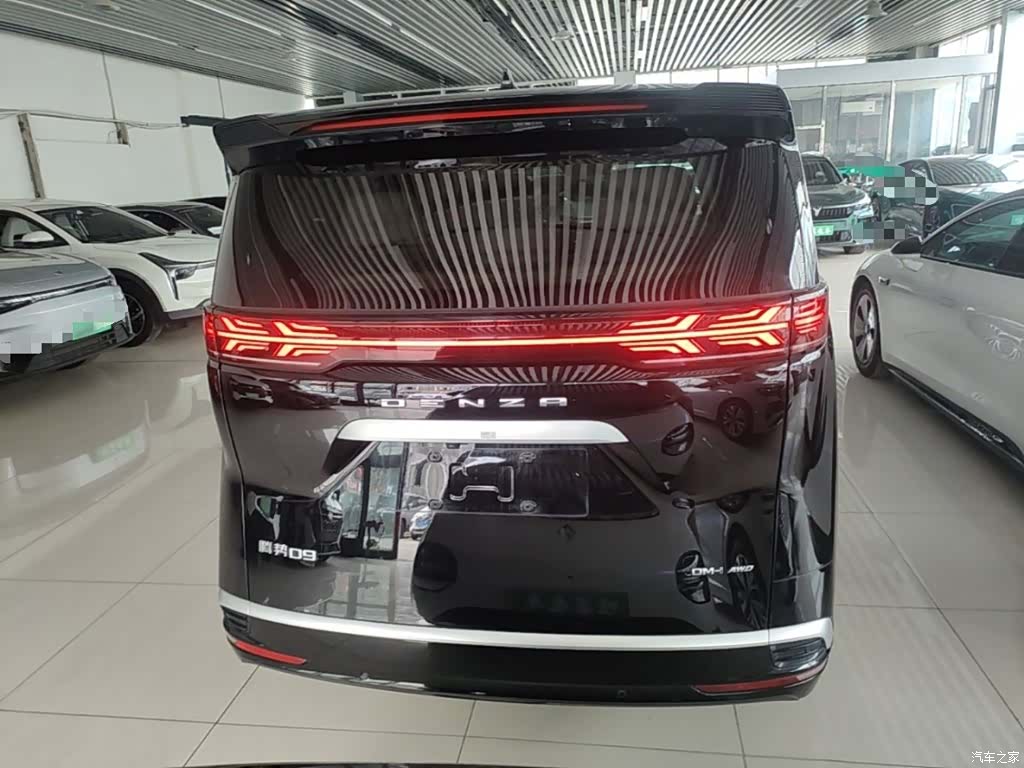 Denza D9, 2023 6