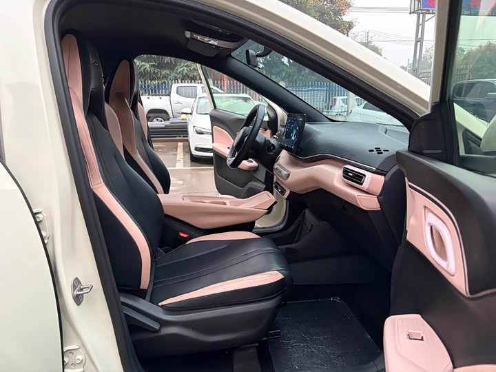 BYD Seagull 2023 zi you ban
