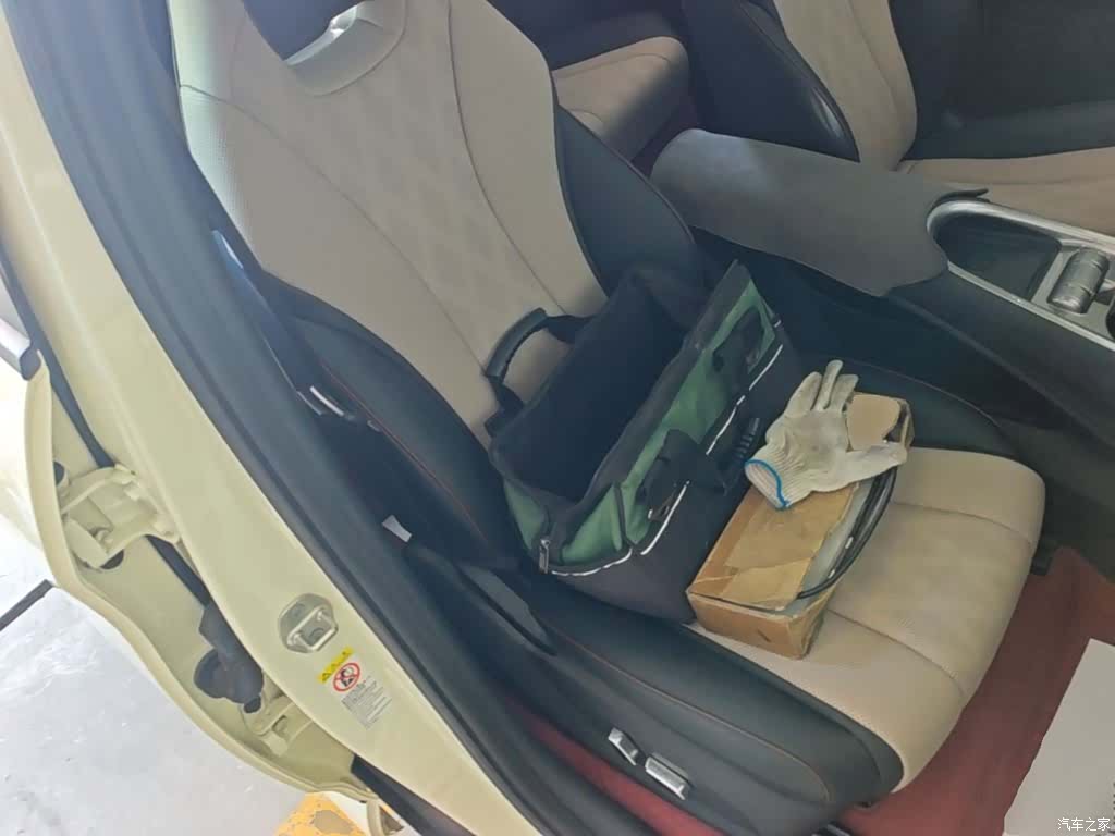 BYD Dolphin, 2024 25
