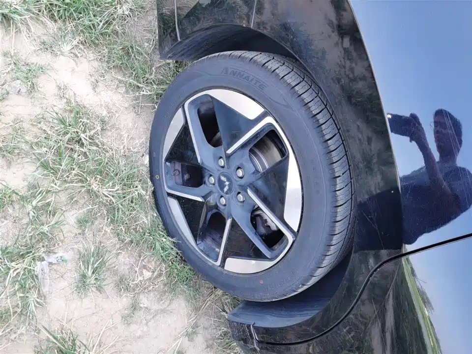 Wuling Wuling Starlight