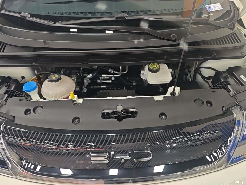 BYD Dolphin, 2024 20