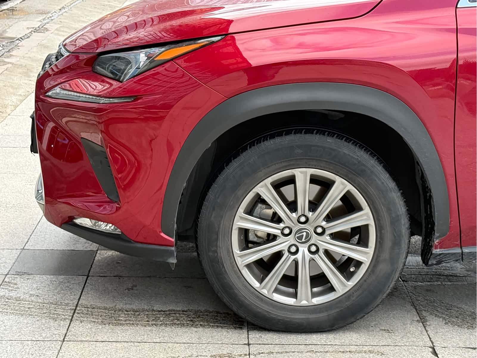Lexus NX, 2020 все фото