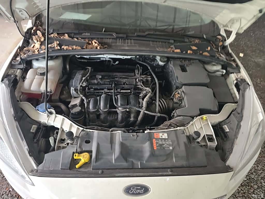 Ford Focus, 2018 20
