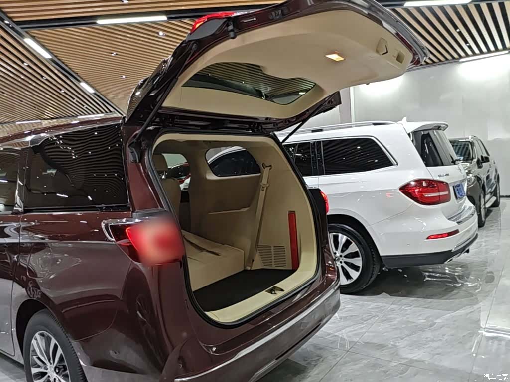 Buick GL8, 2022 19