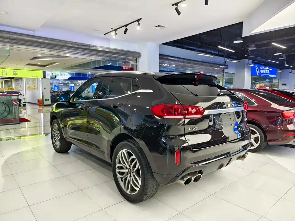Weipai VV5