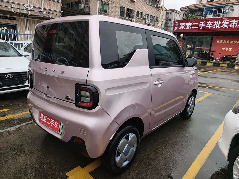 Geely Galaxy panda Geely Galaxy panda