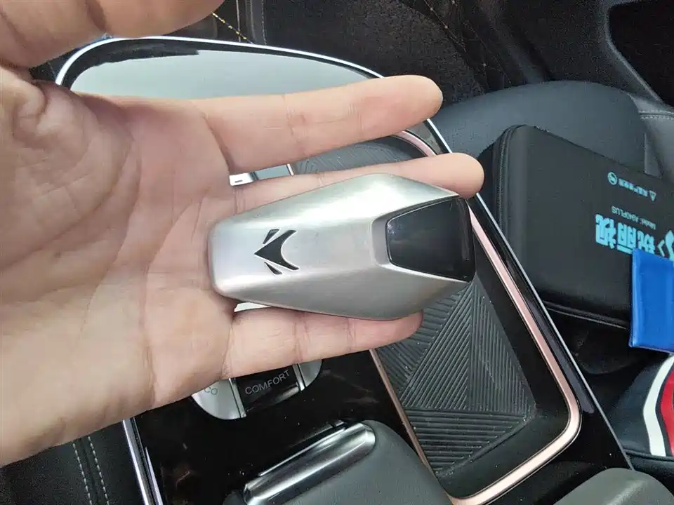 ARCFOX Polar Fox Alpha S