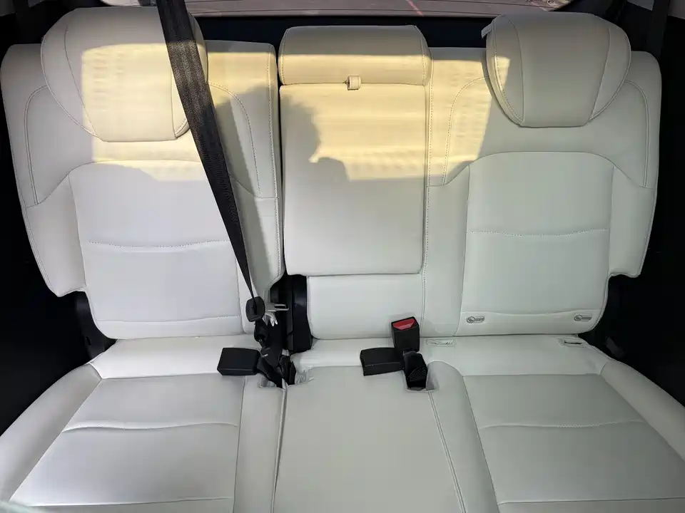 Trumpchi Trumpchi E9